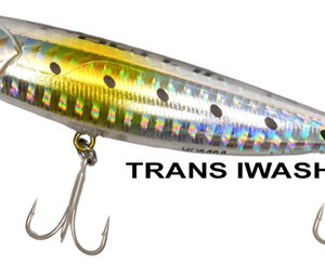 DOG STRIKE 60 TRANS IWASHI