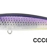 BAY RUF SEEK 85HW CCC0675