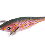 TRLJA PINK BODY 2.0 GREEN