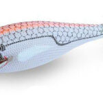 WHITE KILLER BUKVA 1.5 Orange