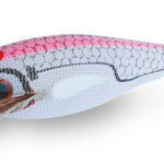 WHITE KILLER BUKVA 1.5 Pink