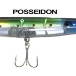 DOG WALKER POSSEIDON