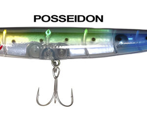 DOG WALKER POSSEIDON