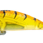 RIPPER 50s Honey Shrimp #01