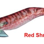 Egista RATTLE 3.5 RRRE