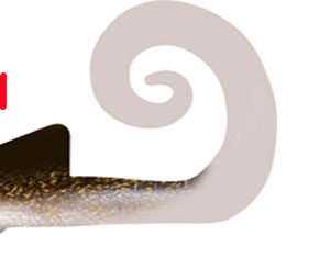 HelixPro 100gr 01-871