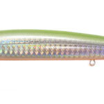 SALT MINNOW-004