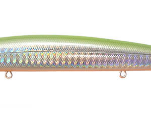 SALT MINNOW-004