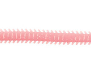 LUGWORM-F05