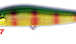 FS157 67