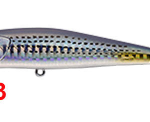 GABOZ 65 μίκρος κέφαλος 3