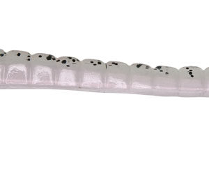 Larva 10cm 018