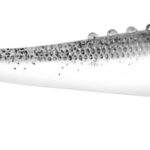 Lunatic 12.5cm 10-950