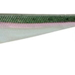 Minnow 75mm-015
