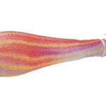 SOFT REAL FISH 1.5 kerisi