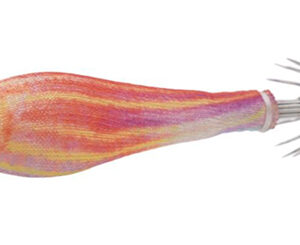 SOFT REAL FISH 1.5 kerisi