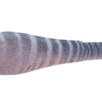 SOFT REAL FISH 1.5 wahoo