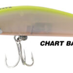 KING MULLET 90F CHART BACK UV