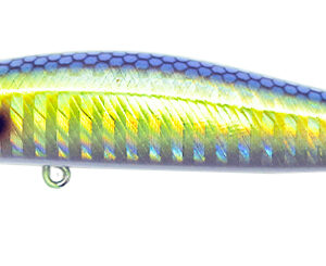 REGAL 90s SPOTTED AJI #07