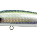 TWICHER 85S SPOTTED AJI #03