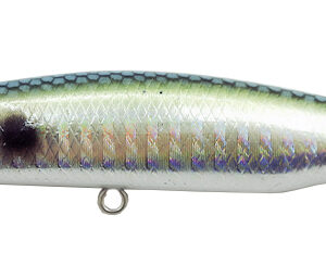 TWICHER 85S SPOTTED AJI #03