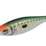 ZEBRA 1.5 Dark Green