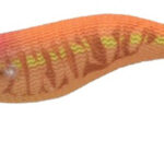 EGISTA 1,5 #2 Glow Orange TKO