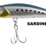 TETIS 48S SARDINE